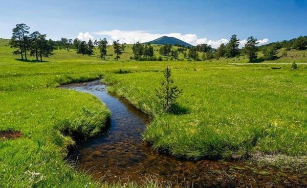 Villa Ducic Zlatibor Zewnętrze zdjęcie